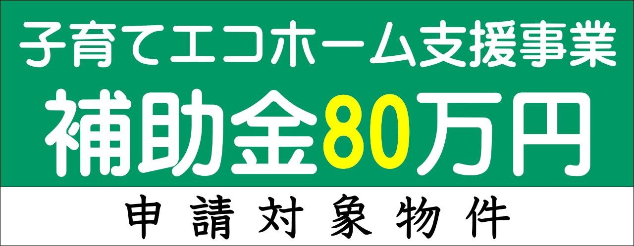 補助金対象80万円